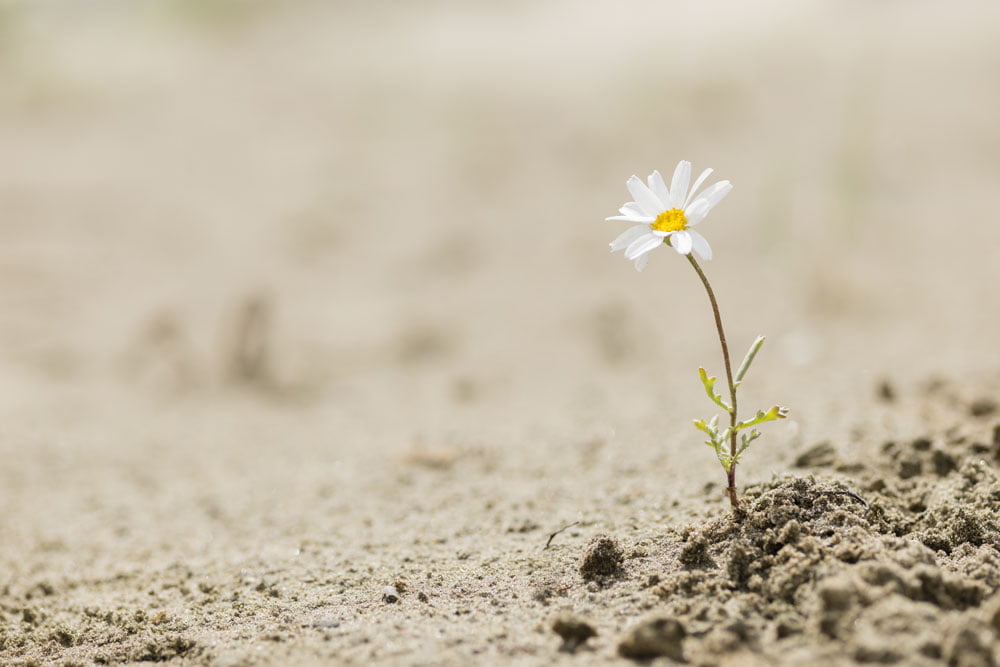 Resilienz stärken