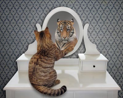 Selbstbild